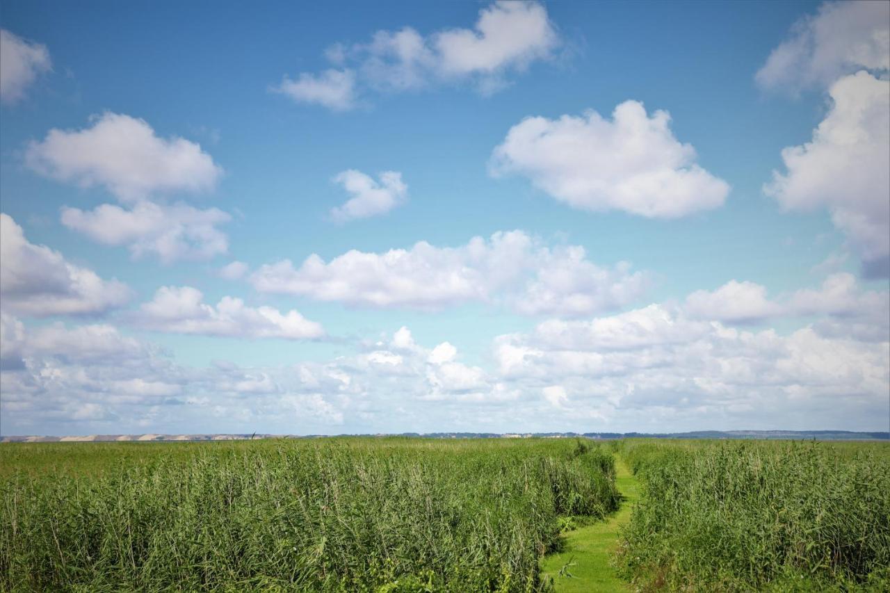 Stovyklaviete Pauksciu Takas Svencele Exterior foto